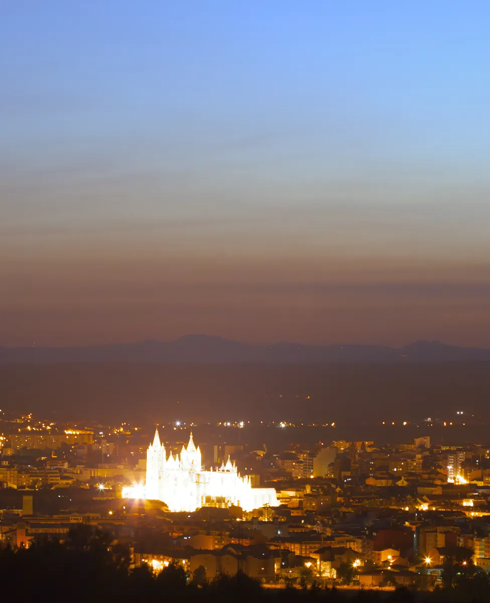 Catedral de León desde Las Lomas